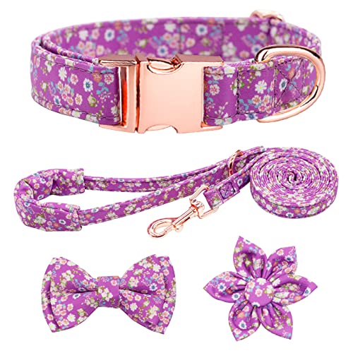 HSIGIO Hunde Halsband und Leine, Set, Mädchen, verstellbare Welpenhalsbänder mit Blumen-Fliege für kleine, mittelgroße und große Hündinnen, lila, XS von HSIGIO