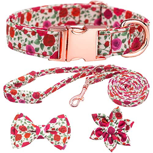 HSIGIO Hunde Halsband und Leine, Set, Mädchen, verstellbare Welpenhalsbänder mit Blumen-Fliege für kleine, mittelgroße und große Hündinnen, rote Rose, S von HSIGIO