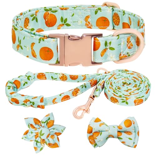 HSIGIO Hundehalsband und Leine, Set für Mädchen, verstellbare Welpenhalsbänder mit Fruchtfliege für kleine, mittelgroße und große Hündinnen, Grün-Orange, L von HSIGIO