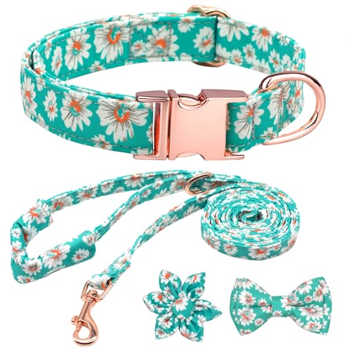 HSIGIO Hundehalsband und Leine, Set für Mädchen, verstellbare Welpenhalsbänder mit floraler Fliege für kleine, mittelgroße und große Hündinnen, Hellgrünes Gänseblümchen, M von HSIGIO