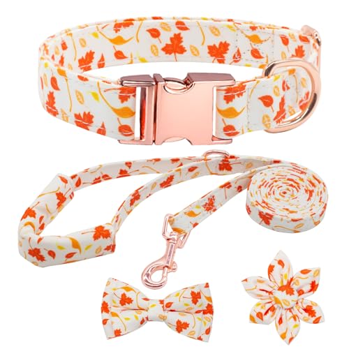 HSIGIO Hundehalsband und Leine, Set für Mädchen, verstellbare Welpenhalsbänder mit floraler Fliege für kleine, mittelgroße und große Hündinnen, orangefarbenes Ahornblatt, Größe L von HSIGIO