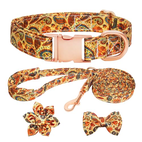 HSIGIO Hundehalsband und Leine, Set für Mädchen, verstellbare Welpenhalsbänder mit floraler Fliege für kleine, mittelgroße und große Hündinnen, orangefarbenes Paisleymuster, Größe L von HSIGIO