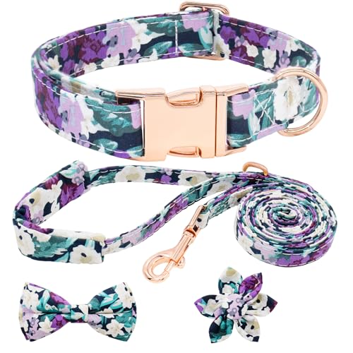 HSIGIO Hundehalsband und Leine, Set für Mädchen, verstellbare Welpenhalsbänder mit floraler Fliege für kleine, mittelgroße und große Hündinnen, violett-grüne Blume, Größe S von HSIGIO