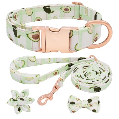 HSIGIO Hundehalsband und Leine, verstellbar, mit Blumenmuster und Fliege für kleine, mittelgroße und große Hunde (L, Avocado) von HSIGIO