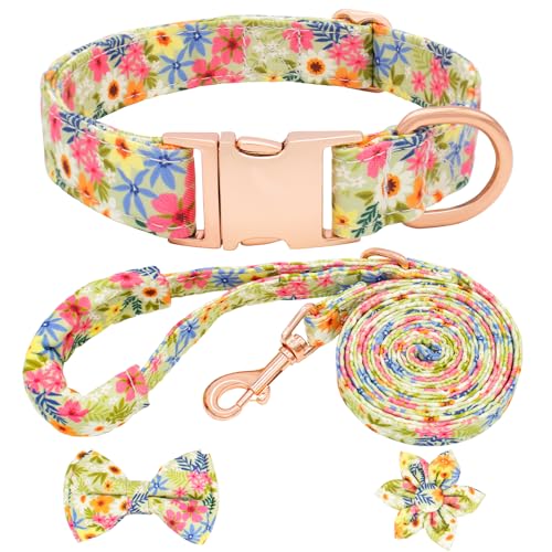 HSIGIO Hundehalsband und Leine, verstellbar, mit Fliege für kleine, mittelgroße und große Hunde (Größe M, bunte Blume) von HSIGIO