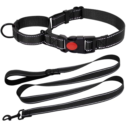 HSIGIO Martingale Halsband für Hunde, reflektierendes Martingale-Hundehalsband und Leine, verstellbares Nylon-Martingale-Halsband mit Schnellverschluss-Schnalle für kleine, mittelgroße und große von HSIGIO