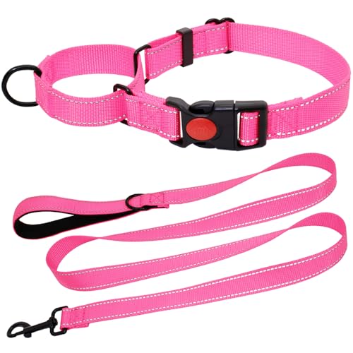 HSIGIO Martingale Halsband für Hunde, reflektierendes Hundehalsband und Leine, Set mit Sicherheits-Schnellverschluss-Schnalle, 1,5 m gepolsterte Hundeleine, verstellbares Nylonhalsband für mittelgroße von HSIGIO