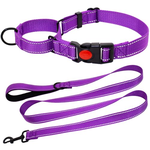 HSIGIO Martingale Halsband für Hunde, reflektierendes Martingale-Hundehalsband und Leine, verstellbares Nylon-Martingale-Halsband mit Schnellverschluss-Schnalle für kleine, mittelgroße und große von HSIGIO