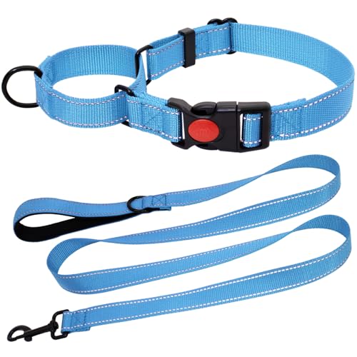 HSIGIO Martingale Halsband für Hunde, reflektierendes Martingale-Hundehalsband und Leine, verstellbares Nylon-Martingale-Halsband mit Schnellverschluss-Schnalle für kleine, mittelgroße und große von HSIGIO