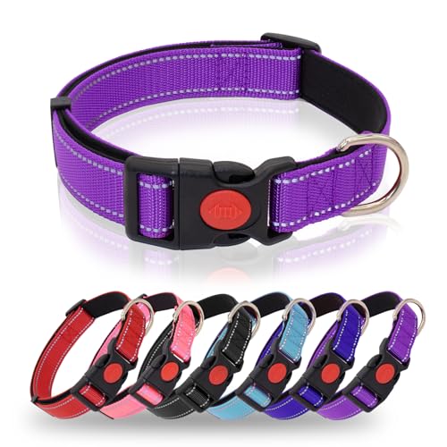 HSIGIO Reflektierendes Hundehalsband, strapazierfähig, verstellbar, mit Sicherheitsverriegelungsschnalle, weiches Neopren gepolstertes Hundehalsband für kleine Hunde, Lila, S von HSIGIO