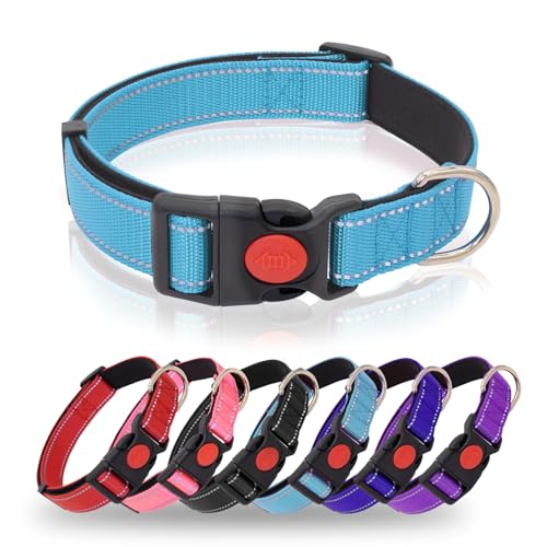 HSIGIO Reflektierendes Hundehalsband, strapazierfähig, verstellbar, mit Sicherheitsverschluss, weiches Neopren, gepolstertes Hundehalsband für Welpen und kleine Hunde, Himmelblau, XS von HSIGIO