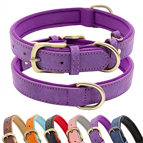 HSIGIO Weich Gepolstertes Leder Hundehalsband, Atmungsaktives Taktisches Wasserdichtes Hundehalsband Leder mit Verstellbarer Durable Metallschnalle für Kleine Mittlere Große Hunde, Lila, L von HSIGIO