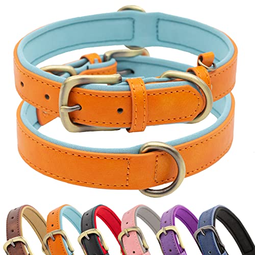 HSIGIO Weich Gepolstertes Leder Hundehalsband, Atmungsaktives Taktisches Wasserdichtes Hundehalsband Leder mit Verstellbarer Durable Metallschnalle für Kleine Mittlere Große Hunde, Orange/Hellblau, S von HSIGIO