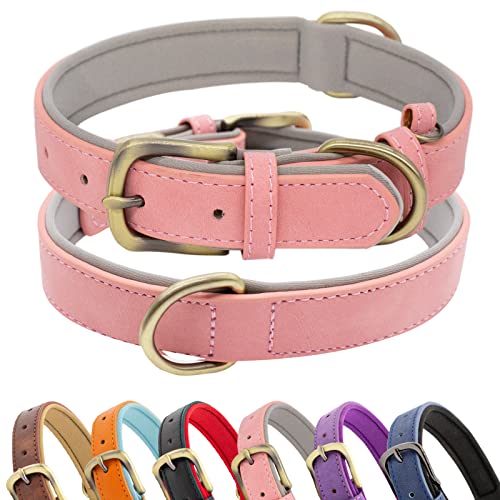 HSIGIO Weich Gepolstertes Hundehalsband aus Leder, atmungsaktiv, wasserdicht, Hundehalsband aus Leder mit verstellbarer Metallschnalle für kleine, mittelgroße und große Hunde, Rosa/Grau, S von HSIGIO