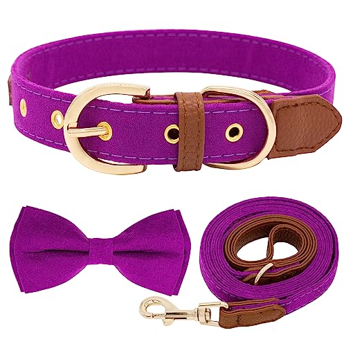 Hundehalsband und Leine, Wildleder, weich, verstellbar, Welpenhalsbänder mit Fliege für kleine, mittelgroße und große Hunde | Wildleder & PU-Leder Nähte Halsband-Set, Violett, XS von HSIGIO