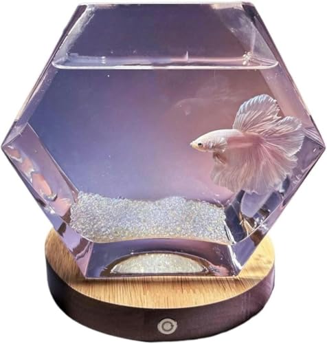 Aquarium, Kampffischaquarium mit Sockel, fünfeckig, transparentes Glas, kleines Aquarium, Wohnzimmer, Schreibtisch, Aquascape, dekorative Ornamente, Aquarium-Set, 17 x 8,5 x 15 cm von HTDSVTD