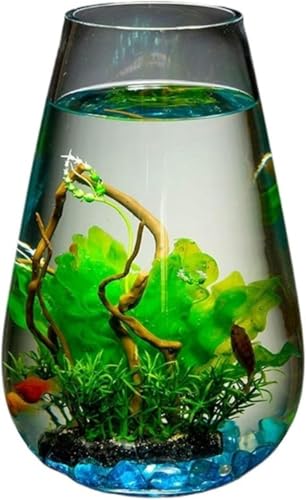 Aquarium, großes Glas-Aquarium, zylinderförmig, für den Schreibtisch, Goldfisch-Aquarium, kleines Aquarium, Aquascape-Ornamente, transparente Glasvase für den Schreibtisch, Aquarium-Set – Standard von HTDSVTD