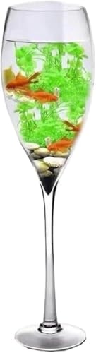 Aquarium, klares Glas, Aquarium in Champagnerglasform, Glas, Aquarium, Heimdekoration, Aquarium-Set (13 cm x 60 cm), 12 cm x 40 cm von HTDSVTD