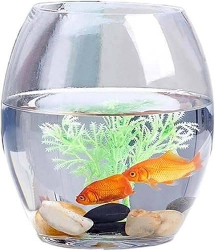 Aquarium, klein, verdicktes transparentes Aquarium, Schildkrötenbecken aus Glas, ovales Aquarium, für Zuhause und das Büro, Desktop-Aquarium, Mehrzweck-Aquarium-Set (Größe: L) - klein von HTDSVTD