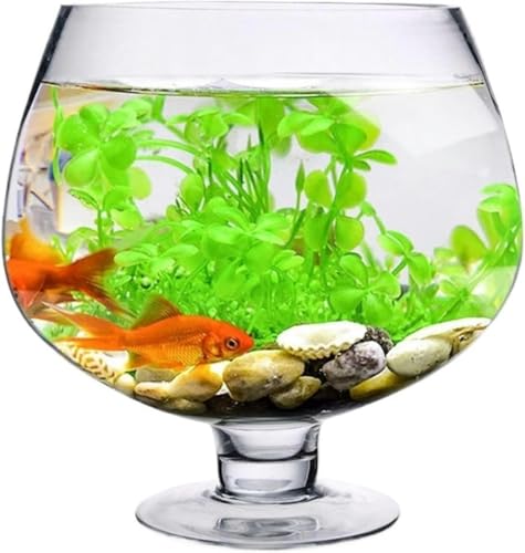 Aquarium, kleines Aquarium, verdicktes transparentes Glas, Aquarium für den Schreibtisch, Schildkrötenbecken, Kelch-Modellier-Aquarium-Set (19 cm x 13 cm), 15 cm x 10 cm von HTDSVTD