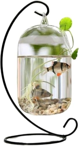 Aquarium, kleines Aquarium, zum Aufhängen, Glas, kleines Aquarium, Metall, zum Aufhängen, dekorative Aquarium-Set für den Schreibtisch (schwarz, groß) -L-Schwarz von HTDSVTD