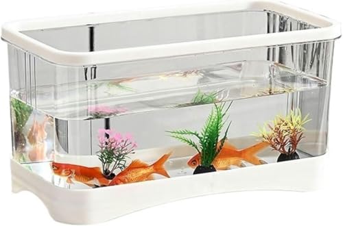 Aquarium, kleines Wohnzimmer, Haushaltstisch, kleines transparentes Acryl-Schildkrötenbecken, Schildkrötenbox, Aquarium-Set (schwarz, 31,5 cm x 21 cm x 16,5 cm) – 31,5 cm x 16,5 cm x 16,5 cm – Weiß von HTDSVTD