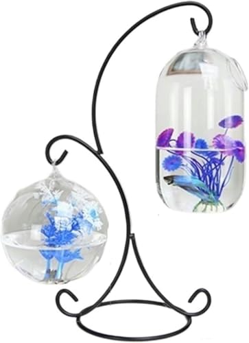 Aquarium, kleines hängendes Aquarium, Metall, 2 Stück, Glas, kleines Aquarium, hängende Desktop-Dekoration, Aquarium, Aquarium-Set, Standard von HTDSVTD