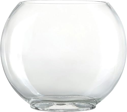 Aquarium, ovales Glas, kleines Goldfisch-Aquarium, Dekoration für den Schreibtisch, transparentes Glas, Aquarium-Set (XL), XL von HTDSVTD