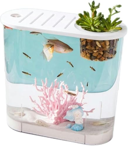 Aquarium, superklares Aquarium aus Acryl für den Schreibtisch mit atmungsaktivem Multifunktionsdeckel, transparentes Aquarium-Set für die Zucht Kleiner Fische, 32 cm x 14,4 cm x 25,2 cm von HTDSVTD