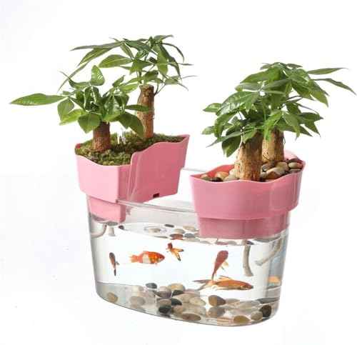 Aquarium, transparentes Acryl-Aquarium, Schildkrötenbecken, kleines ökologisches Aquarium, Bonsai-Tischdekoration, Aquarium-Set (Größe: M) - klein von HTDSVTD