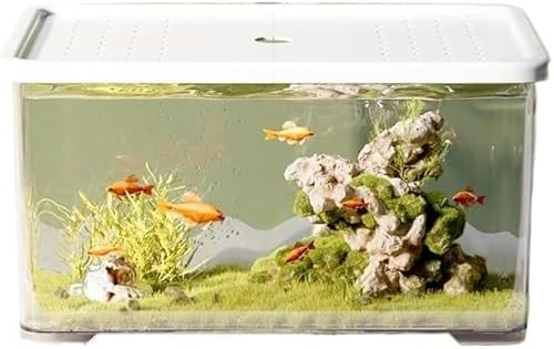 Aquarium, transparentes Acryl-Aquarium mit weißem Deckel, kleines Wohnzimmer-Desktop-Aquarium, Büro, kleines dekoratives Aquarium, Schildkrötenbecken, Aquarium-Set, 34 x 22 x 18 cm von HTDSVTD