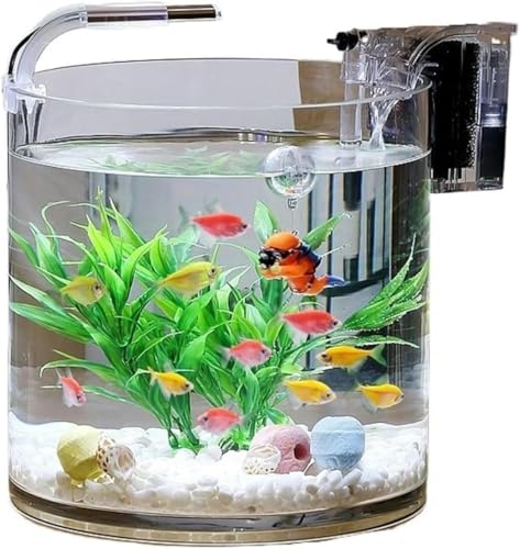 Aquarium, transparentes Glas, Fischaquarium, Wohnzimmer, Büro, Schreibtisch, zylindrisches Fischaquarium, Aquascape, Glasaquarium, Aquarium-Set (20 x 20 cm), 20 x 20 cm von HTDSVTD