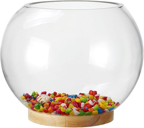 Aquarium, verdicktes transparentes Glas, Aquarium für den Schreibtisch, rund, Goldfisch-Aquarium, Wohnzimmer, Schreibtisch, dekoratives Aquarium, Ornamente, Aquarium-Set (25 cm x 20 cm), 30 cm x 24,5 von HTDSVTD