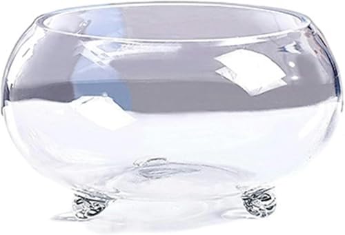 Aquarium, verdicktes transparentes Glasbecken, Schildkrötenbecken mit Unterstützung, kleines ökologisches Fußbecken, Heim-Wohnzimmer-Büro-Desktop-Aquarium-Set (Größe: L)-L von HTDSVTD