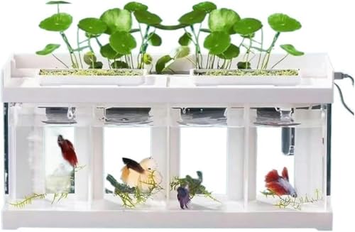 Aquarium 4 Fächer Acryl Transparent Aquarium Desktop Meeresfischzuchtbecken Kampffischaquarium mit weißer Abdeckung Aquarium Kit-Standard von HTDSVTD