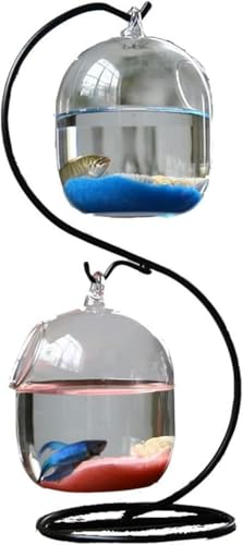 Aquarium Desktop Dekoratives kleines Aquarium Gebogene Form Metall mit 2 kleinen Glasfischtanks Aquarium Kit-Standard von HTDSVTD