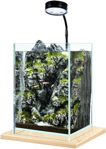 Aquarium Desktop Kleines Aquarium DIY Ökologisches Büro Home Desktop Aquarium Desktop Dekoration Aquarium Kit-Standard von HTDSVTD