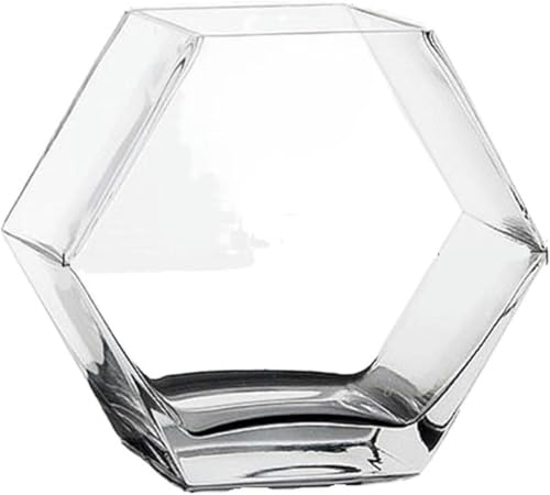 Aquarium Glas Aquarium Verdicktes transparentes Aquarium Dekoratives Aquarium für den Schreibtisch Büro Goldfischglas Glasvase Aquarium-Set (25 x 12,5 x 22,5 cm)-20 x 10 x 17,6 cm von HTDSVTD