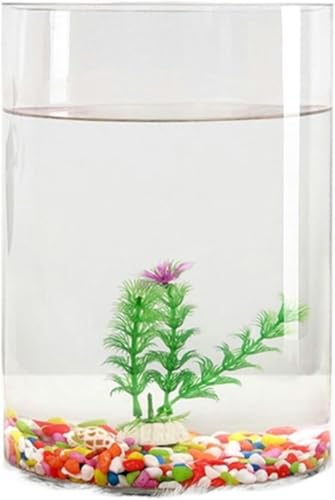 Aquarium Goldfischbecken Transparentes Glas Aquarium Kleine Ökologische Box Zylindrisches Großes Schildkrötenbecken Zubehörbecken Aquarium-Set (Größe: 004)-001 von HTDSVTD