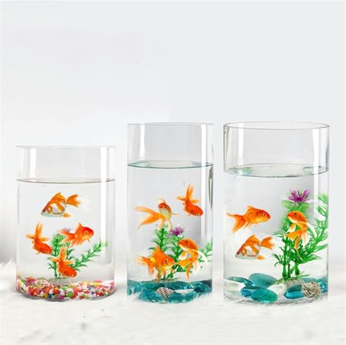 Aquarium Goldfischbecken Transparentes Glas Aquarium Kleine Ökologische Box Zylindrisches Großes Schildkrötenbecken Zubehörbecken Aquarium-Set (Größe: 004)-004 von HTDSVTD