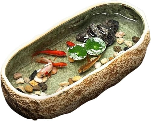 Aquarium Keramik Aquarium Schildkrötenbecken Keramikbecken Haushalt Kleiner dekorativer Keramik-Blumentopf Aquarium-Set (Beige)-31,5x15,4x7cm-Beige von HTDSVTD