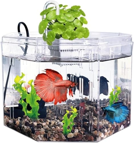 Aquarium Kleines Aquarium Isolationsbox Zucht Acryl Transparentes Aquarium mit Pumpenfiltration Zierfischbecken Büro-Zuhause-Aquarium-Kit-Standard von HTDSVTD