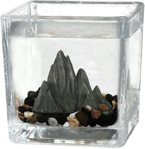 Aquarium Kleines Aquarium Quadratisches Aquarium Ökologische Landschaft Gästezimmer Büro Kleine Ornamente Teetasse Glas Landschaftsgitter Aquarium Aquarium Kit (Größe: Klein) - Klein von HTDSVTD