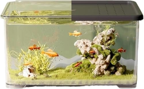 Aquarium Transparentes Acryl-Aquarium mit Schiebedeckel Kleines Wohnzimmer-Desktop-Aquarium Bürodekoration Schildkrötenbecken Aquarium-Set (Weiß)-Schwarz von HTDSVTD