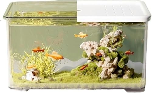 Aquarium Transparentes Acryl-Aquarium mit Schiebedeckel Kleines Wohnzimmer-Desktop-Aquarium Bürodekoration Schildkrötenbecken Aquarium-Set (Weiß)-Weiß von HTDSVTD