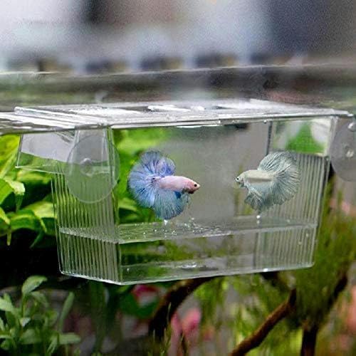 Aquarium Transparentes Aquarium Zuchtisolationsbox Aquarium Inkubator Brutkästen Multifunktionaler Acryl-Aquariumhalter Aquarium Kit-Standard von HTDSVTD