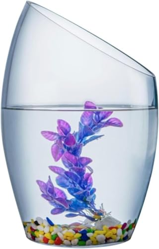 Aquarium Transparentes Glas Kleines Aquarium Mehrzweck-Aquarium Kleines Goldfischaquarium Hydroponische Pflanzenzucht Dekorative Fischtanks Aquarium-Set (Groß)-L von HTDSVTD