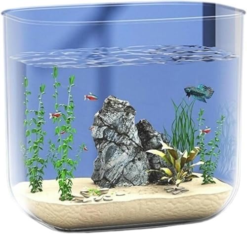 Aquarium für das Wohnzimmer, kleines transparentes Acryl-Tischaquarium, Schildkrötenbecken ohne Rand, Aquarium-Set – Standard von HTDSVTD