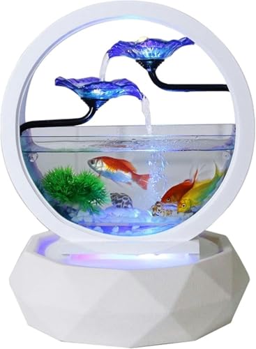 Aquarium rund transparentes Glas Goldfischbecken Wohnzimmer kleines ökologisches Desktop-Heimaquarium Aquarium Dekoration Aquarium Kit-Standard von HTDSVTD