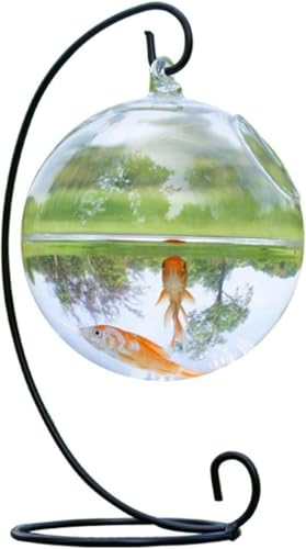 Aquarium zum Aufhängen, Glasaquarium, transparent, verdickt, mit Eisenhalterung, Aquarium, kleines minimalistisches ökologisches Aquarium, Aquarium-Set – Standard von HTDSVTD